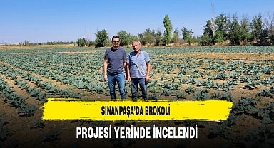 Sinanpaşa’da Brokoli Projesi Yerinde İncelendi