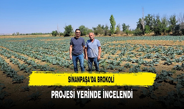 Sinanpaşa’da Brokoli Projesi Yerinde İncelendi