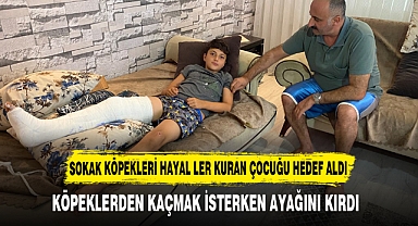 SOKAK KÖPEKLERİ HAYAL LER KURAN ÇOCUĞU HEDEF ALDI
