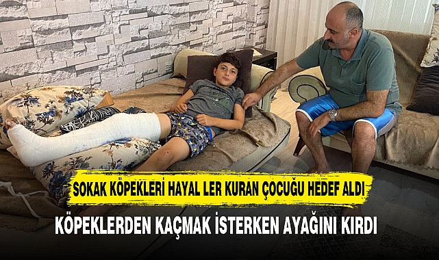 SOKAK KÖPEKLERİ HAYAL LER KURAN ÇOCUĞU HEDEF ALDI