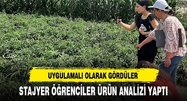 STAJYER ÖĞRENCİLER ÜRÜN ANALİZİ YAPTI