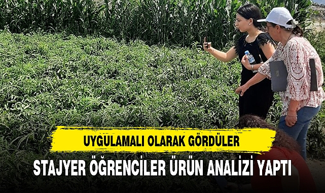 STAJYER ÖĞRENCİLER ÜRÜN ANALİZİ YAPTI