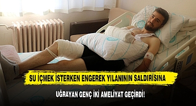 Su İçmek İsterken Engerek Yılanının Saldırısına Uğrayan Genç İki Ameliyat Geçirdi!