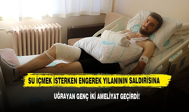 Su İçmek İsterken Engerek Yılanının Saldırısına Uğrayan Genç İki Ameliyat Geçirdi!