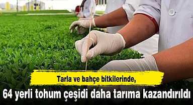 Tarla ve bahçe bitkilerinde 64 yerli tohum çeşidi daha tarıma kazandırıldı