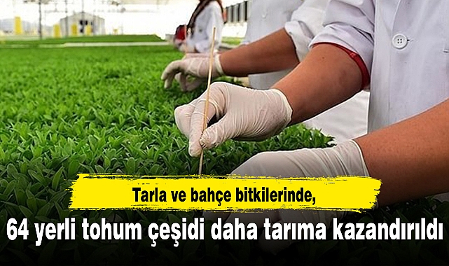 Tarla ve bahçe bitkilerinde 64 yerli tohum çeşidi daha tarıma kazandırıldı