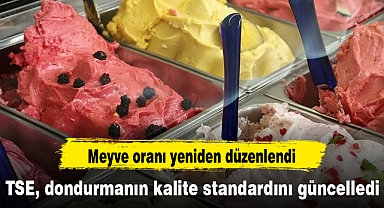 TSE, dondurmanın kalite standardını güncelledi: Meyve oranı yeniden düzenlendi