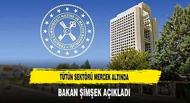 Tütün Sektörü Mercek Altında Bakan Şimşek Açıkladı