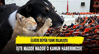Ülkede Büyük Yankı Bulmuştu İşte Madde Madde O Kanun Haberimizde