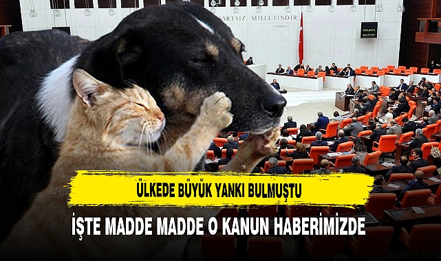 Ülkede Büyük Yankı Bulmuştu İşte Madde Madde O Kanun Haberimizde
