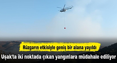 Uşak'ta iki noktada çıkan yangınlara müdahale ediliyor