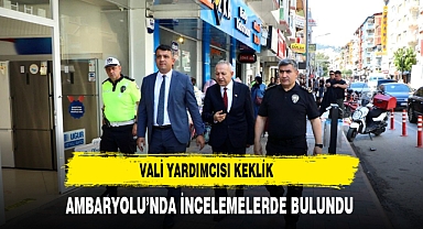 VALİ YARDIMCISI MEHMET KEKLİK AMBARYOLU'NDA İNCELEMELERDE BULUNDU