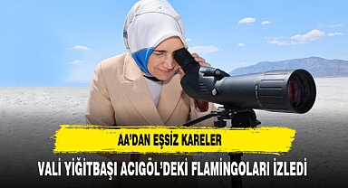 Vali Yiğitbaşı, Acıgöl'ün Eşsiz Flamingo Uçuşlarını İzledi AA unutulmaz kareleri fotoğrafladı
