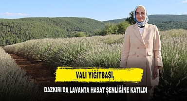 Vali Yiğitbaşı, Dazkırı'da Lavanta Hasat Şenliğine Katıldı