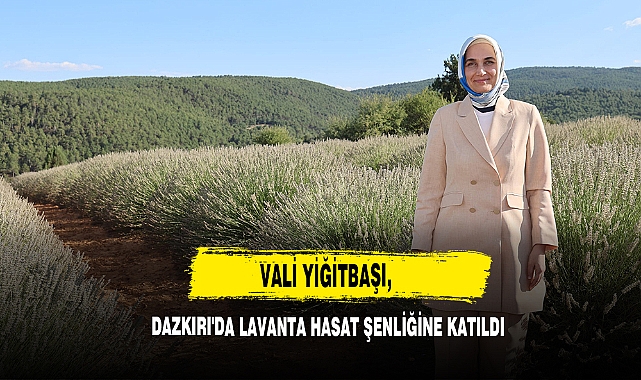Vali Yiğitbaşı, Dazkırı'da Lavanta Hasat Şenliğine Katıldı