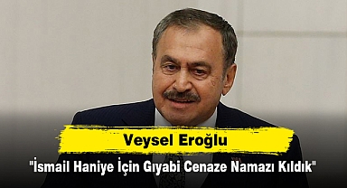 Veysel Eroğlu: