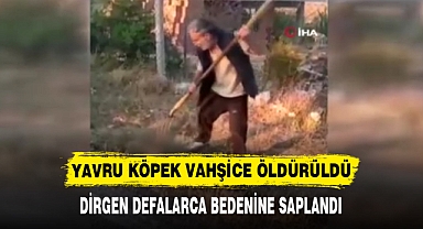 YAVRU KÖPEK VAHŞİCE ÖLDÜRÜLDÜ