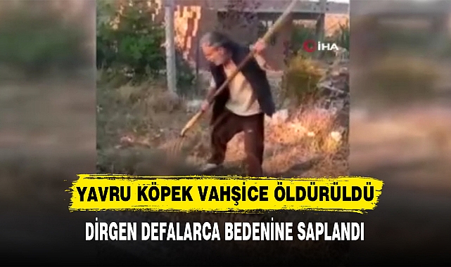 YAVRU KÖPEK VAHŞİCE ÖLDÜRÜLDÜ