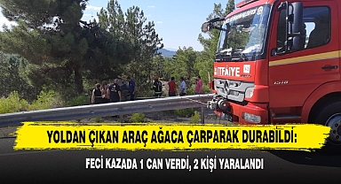 Yoldan Çıkan Araç Ağaca Çarparak Durabildi: Feci Kazada 1 Can Verdi, 2 Kişi Yaralandı
