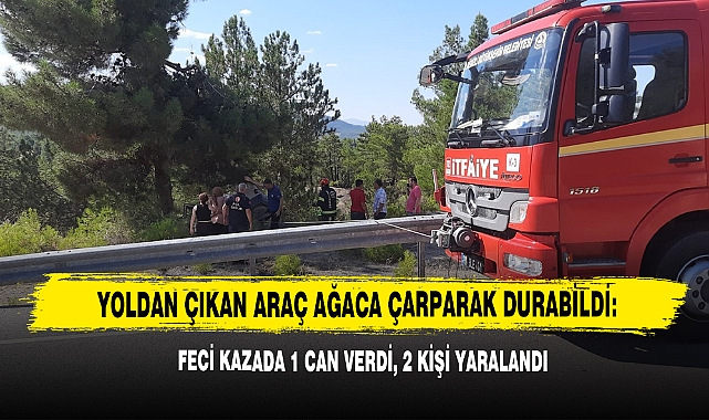 Yoldan Çıkan Araç Ağaca Çarparak Durabildi: Feci Kazada 1 Can Verdi, 2 Kişi Yaralandı