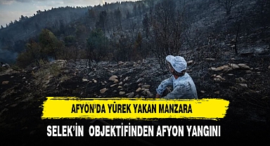YÜREK YAKAN KARELER SELEK'İN OBJEKTİFİNDEN GELDİ
