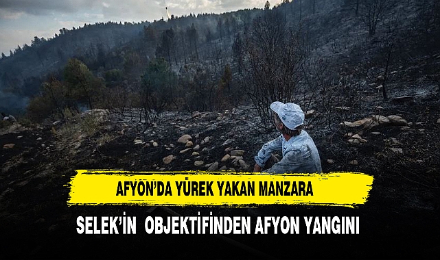 YÜREK YAKAN KARELER SELEK'İN OBJEKTİFİNDEN GELDİ