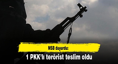 1 PKK’lı terörist teslim oldu