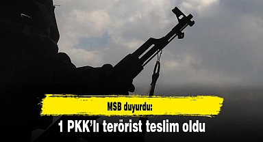 1 PKK’lı terörist teslim oldu