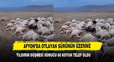 Afyon’da Otlayan Sürünün Üzerine Yıldırım Düşmesi Sonucu 60 Koyun Telef Oldu