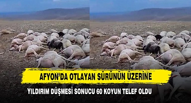 Afyon’da Otlayan Sürünün Üzerine Yıldırım Düşmesi Sonucu 60 Koyun Telef Oldu