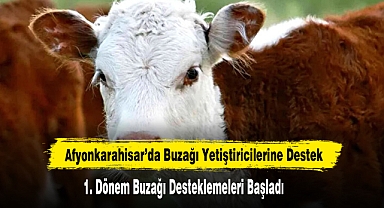 Afyonkarahisar’da 1. Dönem Buzağı Desteklemeleri Başladı