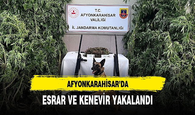 AFYONKARAHİSAR'DA ESRAR VE KENEVİR YAKALANDI