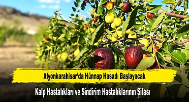 Afyonkarahisar’da Hünnap Hasadı Başlayacak