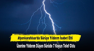 Afyonkarahisar'da Sürüye Yıldırım İsabet Etti