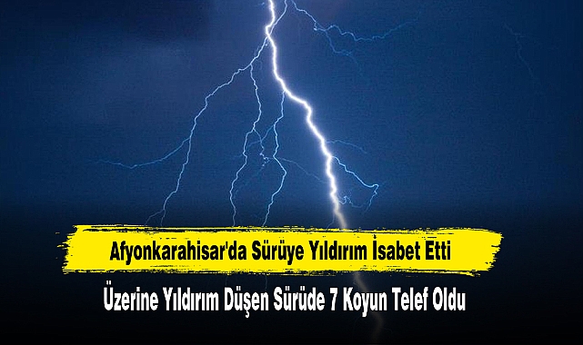 Afyonkarahisar'da Sürüye Yıldırım İsabet Etti
