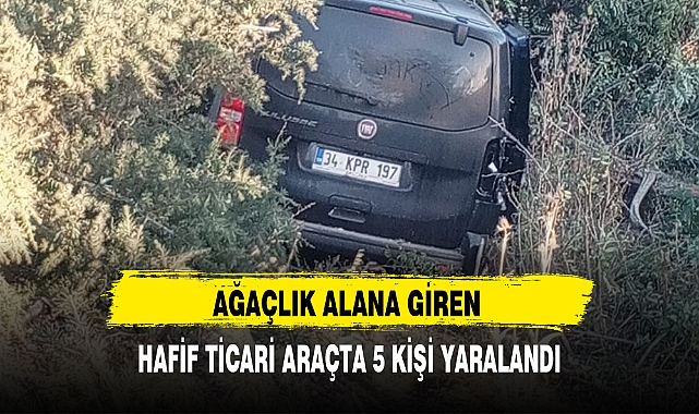 AĞAÇLIK ALANA GİREN HAFİF TİCARİ ARAÇTA 5 KİŞİ YARALANDI