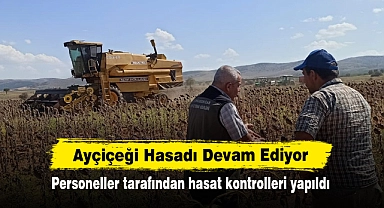 Ayçiçeği Hasadı Devam Ediyor