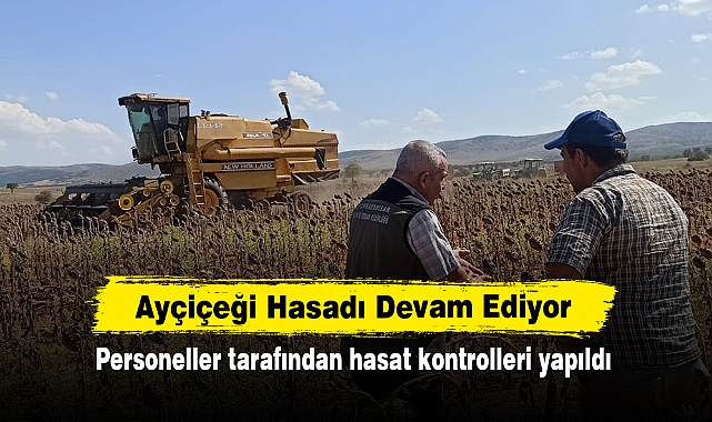 Ayçiçeği Hasadı Devam Ediyor