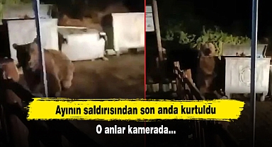 Ayının saldırısından son anda kurtuldu: O anlar kamerada