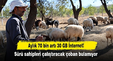 Aylık 70 bin artı 30 GB İnternet! Sürü sahipleri çalıştıracak çoban bulamıyor