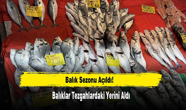 Balık Sezonu Açıldı: Balıklar Tezgahlardaki Yerini Aldı