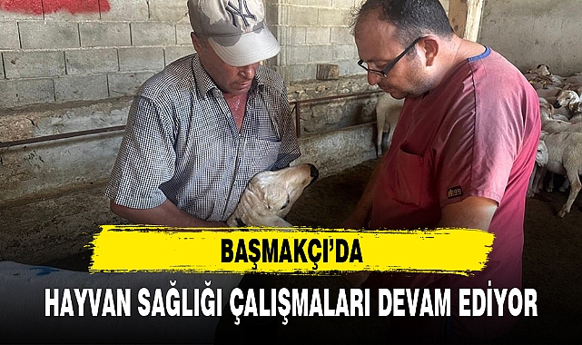 BAŞMAKÇI'DA HAYVAN SAĞLIĞI ÇALIŞMALARI DEVAM EDİYOR