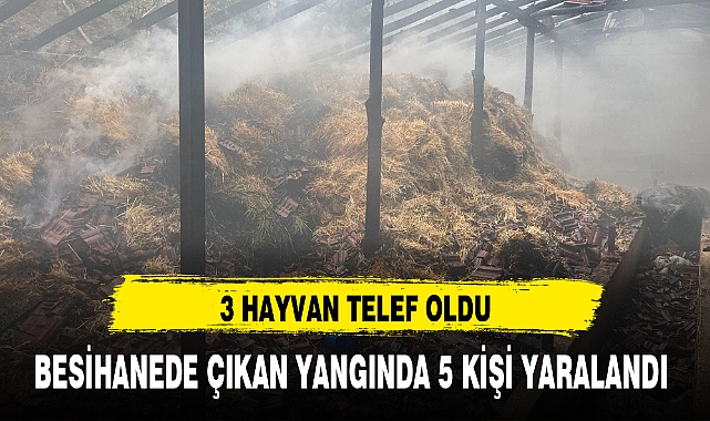BESİHANEDE ÇIKAN YANGINDA 5 KİŞİ YARALANDI