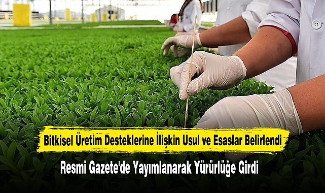 Bitkisel Üretim Desteklerine İlişkin Usul ve Esaslar Belirlendi Resmi Gazete'de Yayımlandı