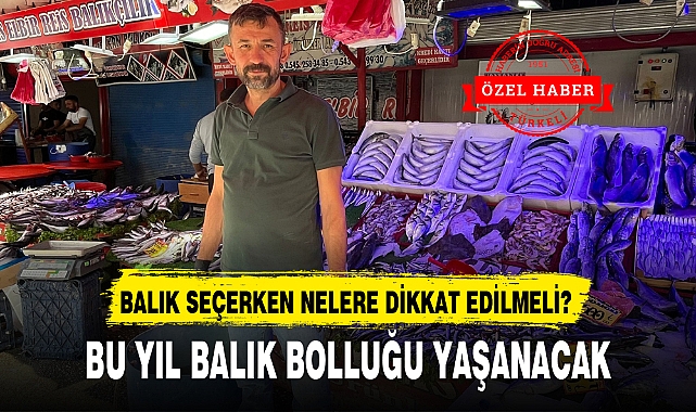 BU YIL BALIK BOLLUĞU YAŞANACAK