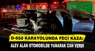 D-650 KARAYOLUNDA FECİ KAZA: ALEV ALAN OTOMOBİLDE YANARAK CAN VERDİ