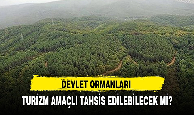 DEVLET ORMANLARI TURİZM AMAÇLI TAHSİS EDİLEBİLECEK Mİ?
