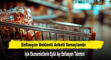 Enflasyon Beklenti Anketi Sonuçlandı: İşte Ekonomistlerin Eylül Ayı Enflasyon Tahmini