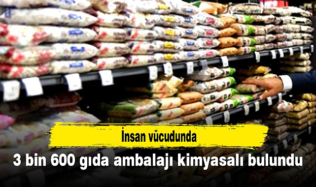 İnsan vücudunda 3 bin 600 gıda ambalajı kimyasalı bulundu