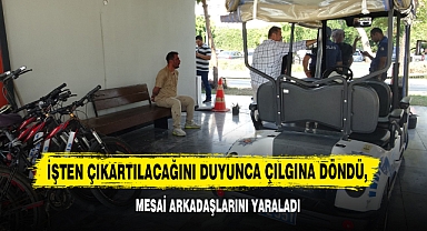 İşten Çıkartılacağını Duyunca Çılgına Döndü, Mesai Arkadaşlarını Yaraladı